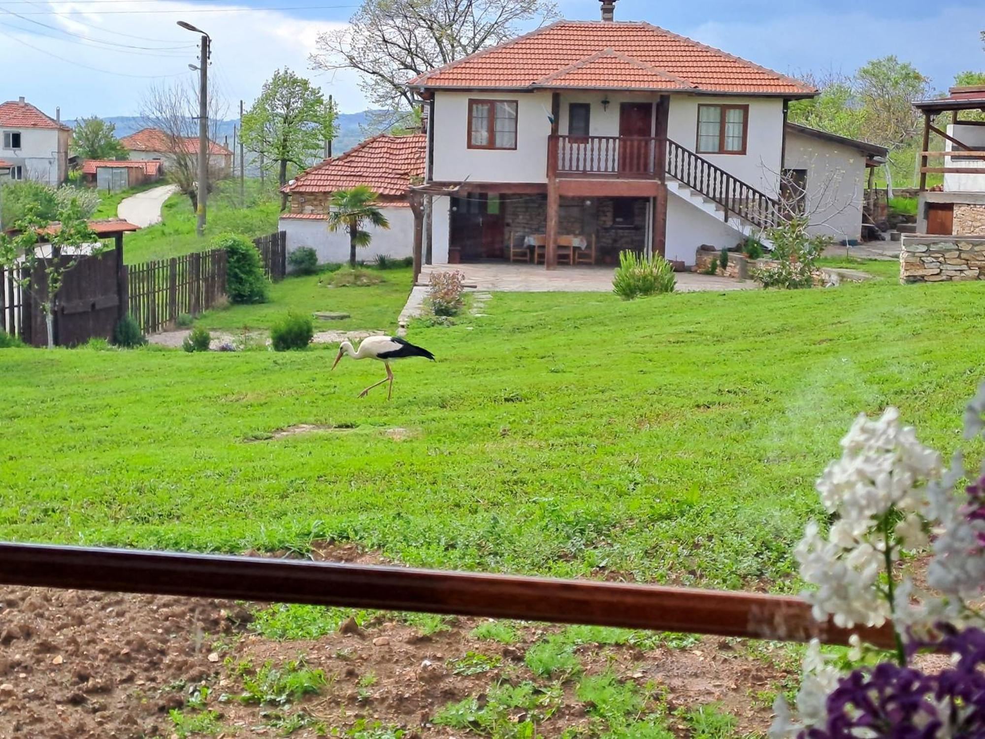 Casa Lambuh Hotel Екстериор снимка